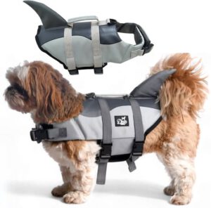 Kleding & Accessoires