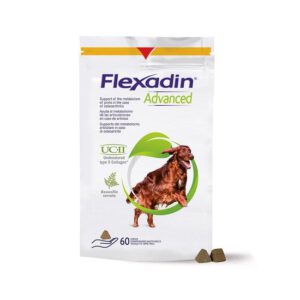 Gezondheid