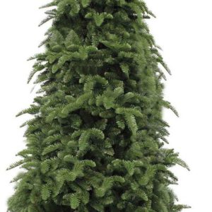 Kerstboom binnen
