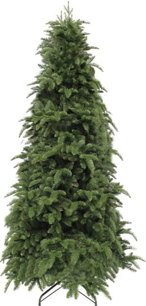 Kerstboom binnen