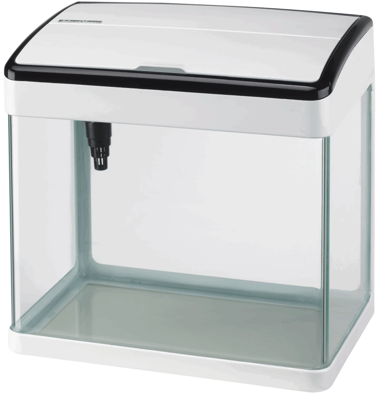 beste aquarium