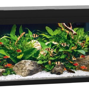 Aquarium