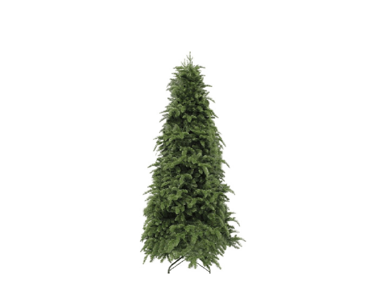 beste kerstboom binnen