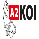 A2koi